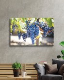 Siyah Üzüm Cam Tablo Grape Art