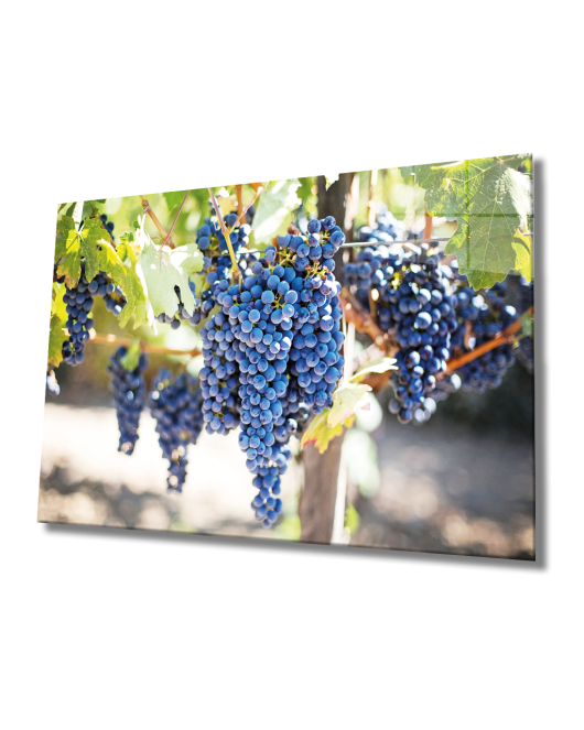 Siyah Üzüm Cam Tablo Grape Art