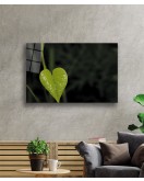 Yeşil Kalp Yaprak Green Heart Leaf