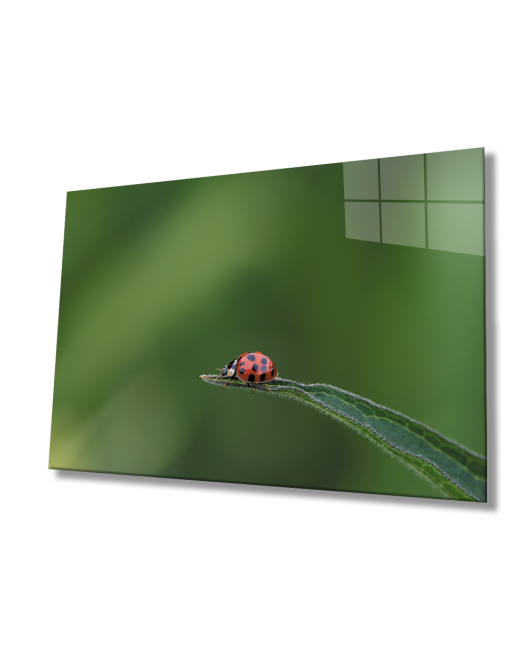 Uğur Böceği Yeşil Cam Tablo Ladybug Green