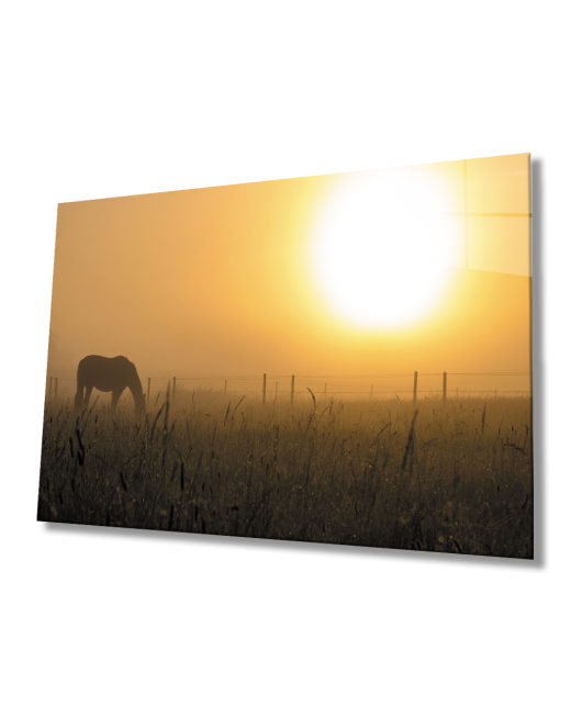 Gün Batımı At Cam Tablo Sunset Horse Table