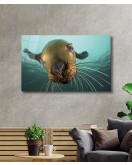 Denizaslanı Cam Tablo Underwater Sea Lion