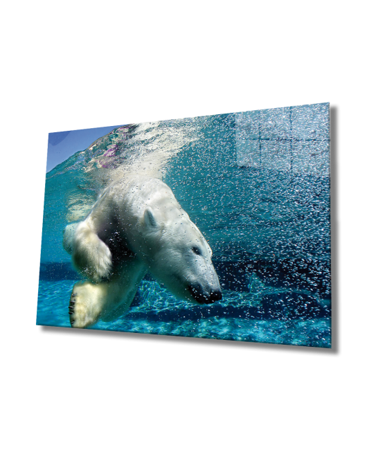 Beyaz Ayı Cam Tablo White Bear In Sea